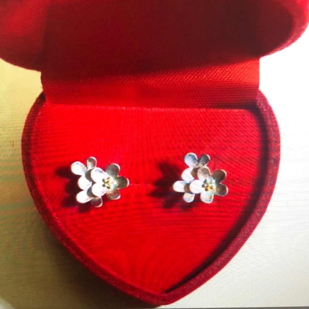 Elegant Floral Silver Earrings